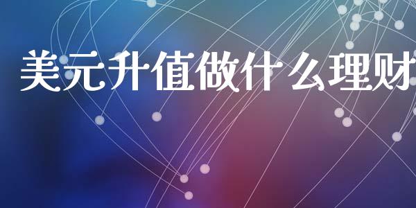 美元升值做什么理财_https://m.fansifence.com_个股行情_第1张