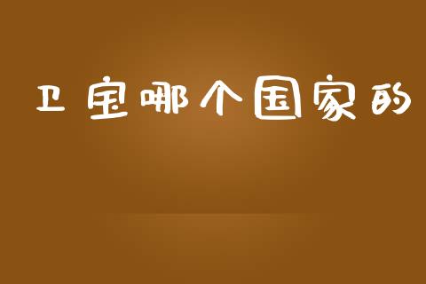 卫宝哪个国家的_https://m.fansifence.com_个股行情_第1张