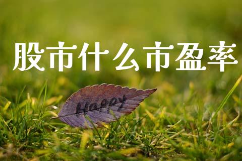 股市什么市盈率_https://m.fansifence.com_公募基金_第1张