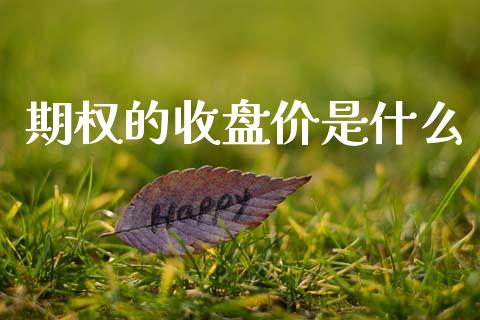 期权的收盘价是什么_https://m.fansifence.com_贵金属行情_第1张