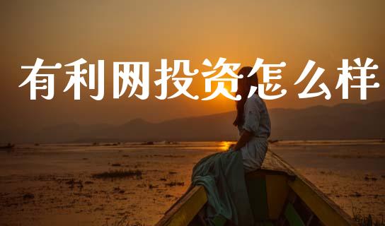 有利网投资怎么样_https://m.fansifence.com_消费金融_第1张