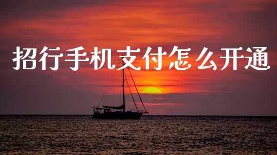 招行手机支付怎么开通_https://m.fansifence.com_贵金属行情_第1张