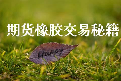 期货橡胶交易秘籍_https://m.fansifence.com_公募基金_第1张