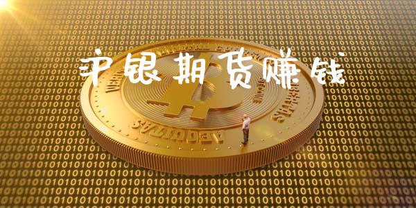 沪银期货赚钱_https://m.fansifence.com_贵金属行情_第1张