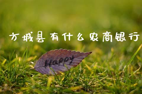 方城县有什么农商银行_https://m.fansifence.com_公募基金_第1张