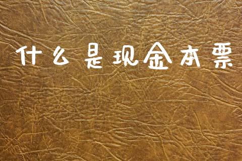 什么是现金本票_https://m.fansifence.com_公募基金_第1张