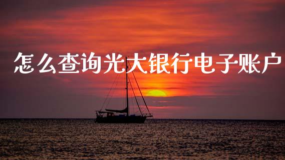 怎么查询光大银行电子账户_https://m.fansifence.com_个股行情_第1张