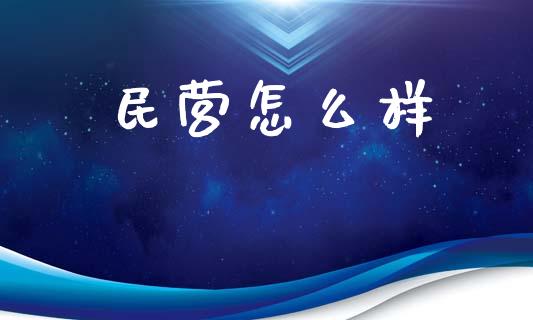 民营怎么样_https://m.fansifence.com_消费金融_第1张