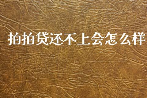 拍拍贷还不上会怎么样_https://m.fansifence.com_公募基金_第1张