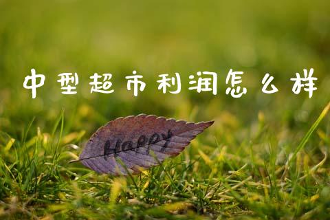 中型超市利润怎么样_https://m.fansifence.com_公募基金_第1张