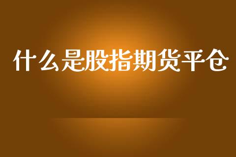 什么是股指期货平仓_https://m.fansifence.com_公募基金_第1张