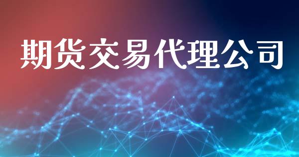 期货交易代理公司_https://m.fansifence.com_消费金融_第1张