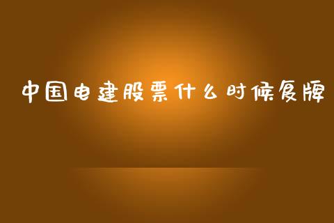 中国电建股票什么时候复牌_https://m.fansifence.com_贵金属行情_第1张