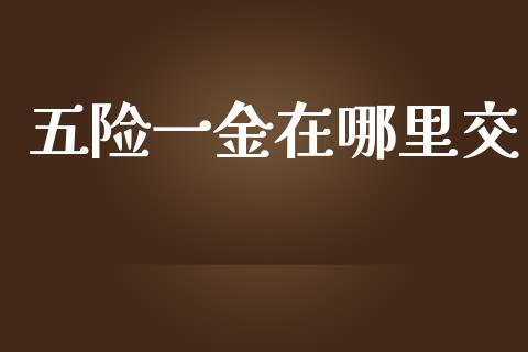 五险一金在哪里交_https://m.fansifence.com_个股行情_第1张