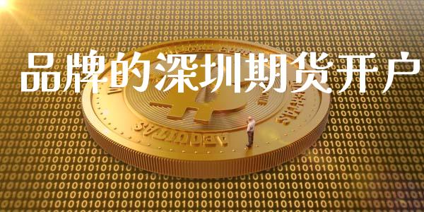 品牌的深圳期货开户_https://m.fansifence.com_公募基金_第1张