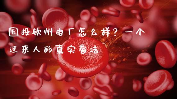 国投钦州电厂怎么样？一个过来人的真实看法_https://m.fansifence.com_消费金融_第1张