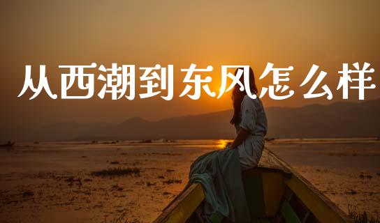 从西潮到东风怎么样_https://m.fansifence.com_个股行情_第1张