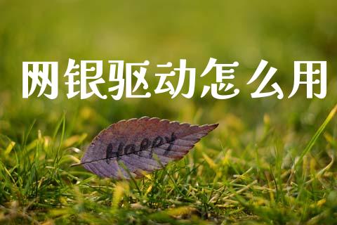 网银驱动怎么用_https://m.fansifence.com_个股行情_第1张