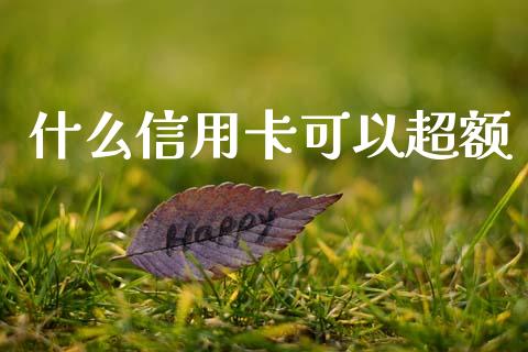什么信用卡可以超额_https://m.fansifence.com_公募基金_第1张