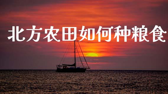 北方农田如何种粮食_https://m.fansifence.com_公募基金_第1张