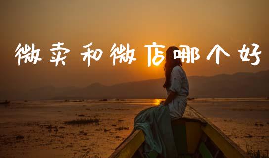 微卖和微店哪个好_https://m.fansifence.com_消费金融_第1张