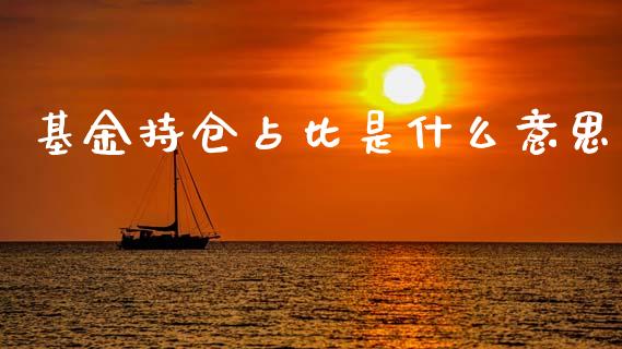 基金持仓占比是什么意思_https://m.fansifence.com_消费金融_第1张