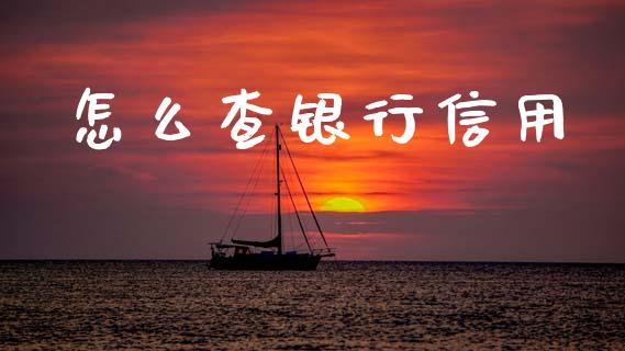 怎么查银行信用_https://m.fansifence.com_贵金属行情_第1张