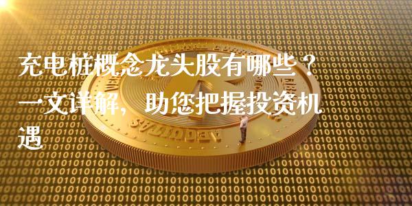 充电桩概念龙头股有哪些？一文详解，助您把握投资机遇_https://m.fansifence.com_个股行情_第1张