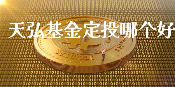 天弘基金定投哪个好_https://m.fansifence.com_公募基金_第1张