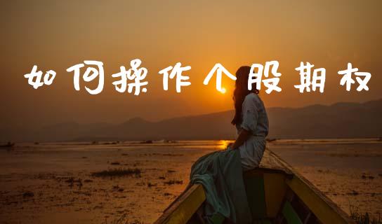 如何操作个股期权_https://m.fansifence.com_公募基金_第1张