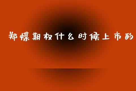 郑煤期权什么时候上市的_https://m.fansifence.com_消费金融_第1张