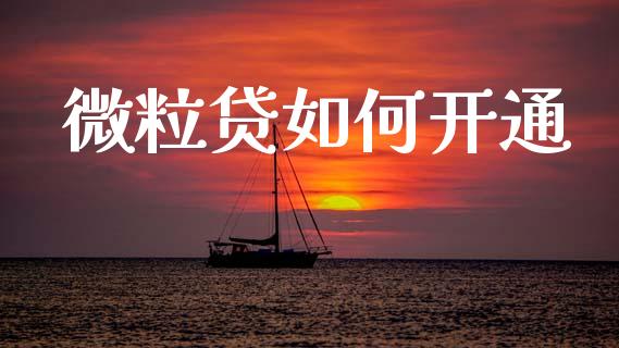 微粒贷如何开通_https://m.fansifence.com_个股行情_第1张