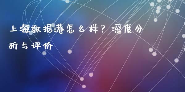 上海数据港怎么样？深度分析与评价_https://m.fansifence.com_贵金属行情_第1张