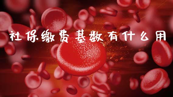 社保缴费基数有什么用_https://m.fansifence.com_贵金属行情_第1张