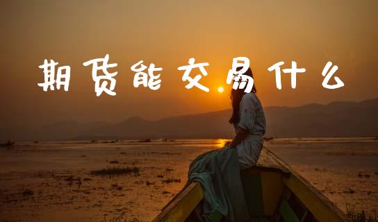 期货能交易什么_https://m.fansifence.com_个股行情_第1张