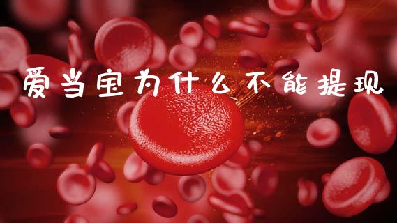 爱当宝为什么不能提现_https://m.fansifence.com_公募基金_第1张