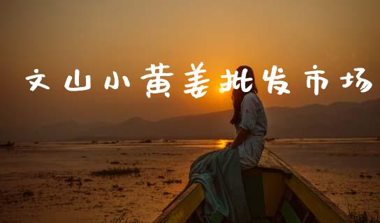 文山小黄姜批发市场_https://m.fansifence.com_贵金属行情_第1张
