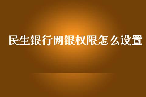 民生银行网银权限怎么设置_https://m.fansifence.com_贵金属行情_第1张