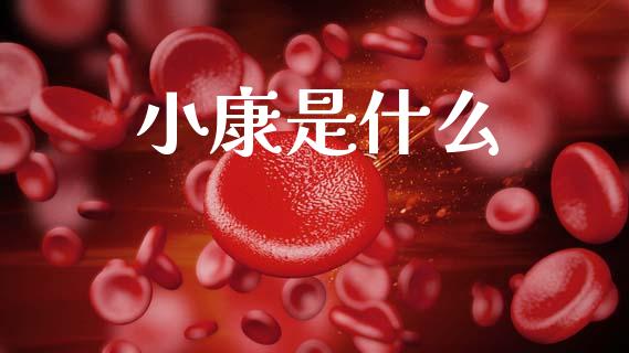 小康是什么_https://m.fansifence.com_个股行情_第1张
