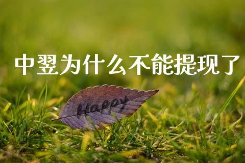 中翌为什么不能提现了_https://m.fansifence.com_贵金属行情_第1张