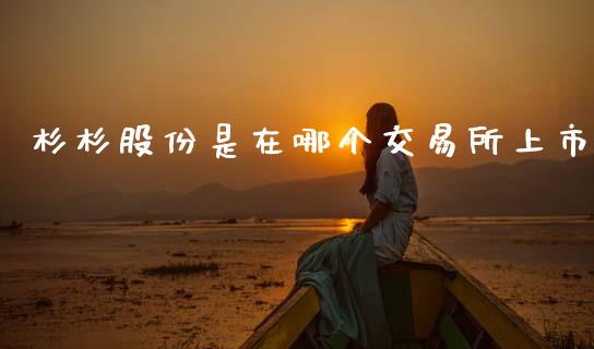杉杉股份是在哪个交易所上市_https://m.fansifence.com_公募基金_第1张