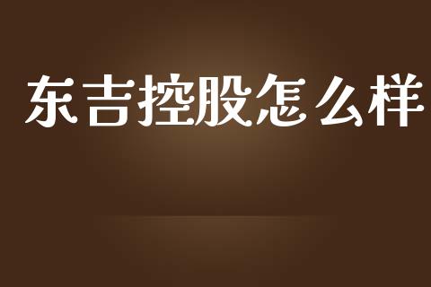 东吉控股怎么样_https://m.fansifence.com_消费金融_第1张