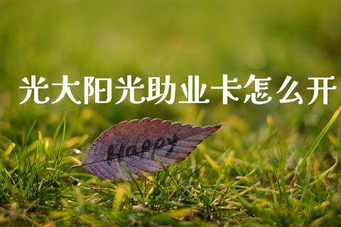 光大阳光助业卡怎么开_https://m.fansifence.com_公募基金_第1张