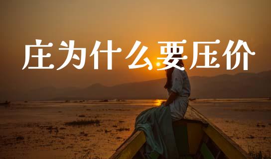 庄为什么要压价_https://m.fansifence.com_公募基金_第1张