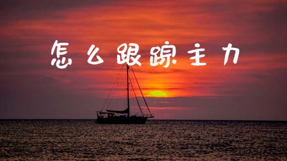 怎么跟踪主力_https://m.fansifence.com_消费金融_第1张