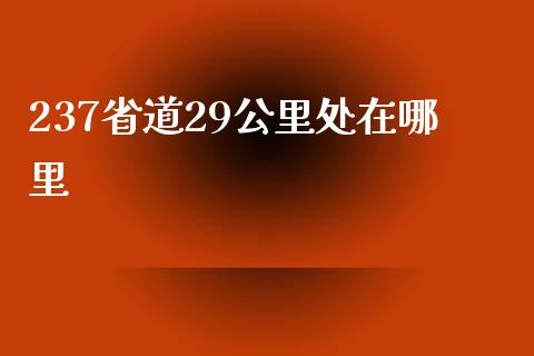 237省道29公里处在哪里_https://m.fansifence.com_公募基金_第1张