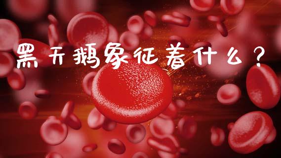 黑天鹅象征着什么？_https://m.fansifence.com_公募基金_第1张