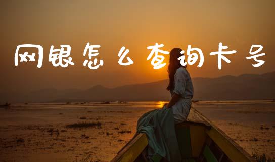 网银怎么查询卡号_https://m.fansifence.com_公募基金_第1张