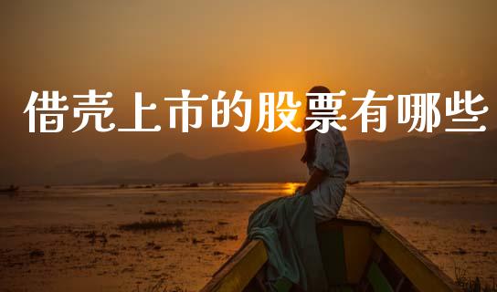 借壳上市的股票有哪些_https://m.fansifence.com_个股行情_第1张