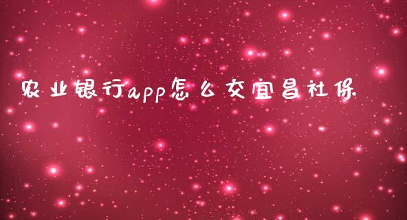 农业银行app怎么交宜昌社保_https://m.fansifence.com_个股行情_第1张